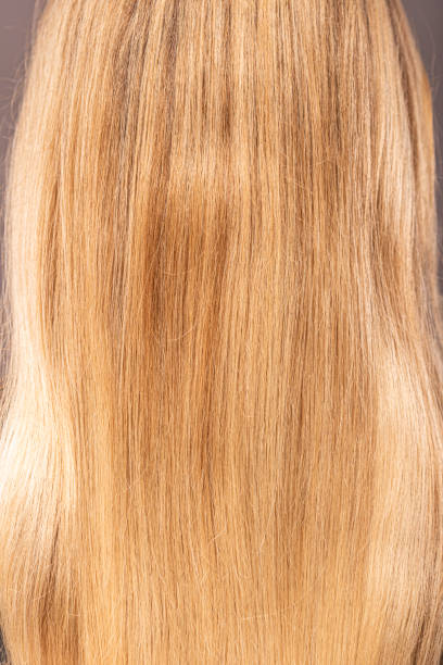 istock Blond female hair closeup 1489501744