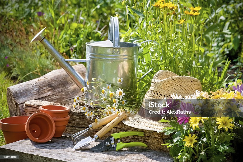Various gardening implements in a garden in the sunshine Gardening tools and a straw hat on the grass in the garden Gardening Equipment Stock Photo