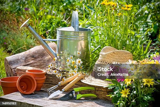 Various Gardening Implements In A Garden In The Sunshine Stock Photo - Download Image Now