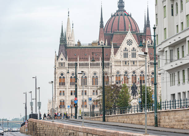 construcción del tranvía y los coches del parlamento húngaro en la ciudad de budapest. - poppy oriental poppy plant spring fotografías e imágenes de stock