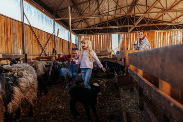 istock Little girl learning about farming. 1489503876