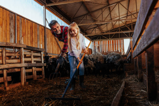 istock Girl cleaning barn with farm worker. 1489504220