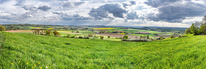 Beautiful spring landscape with green meadows, the sky with picturesque clouds on the horizon, panorama