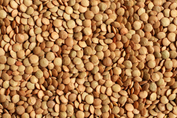 istock Dry organic green lentils. Food background. Macro. 1489505809