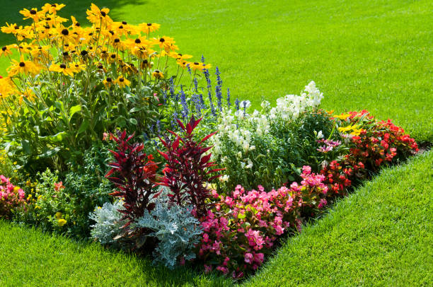 istock A bright flowerbed and a green lawn. 1489506339