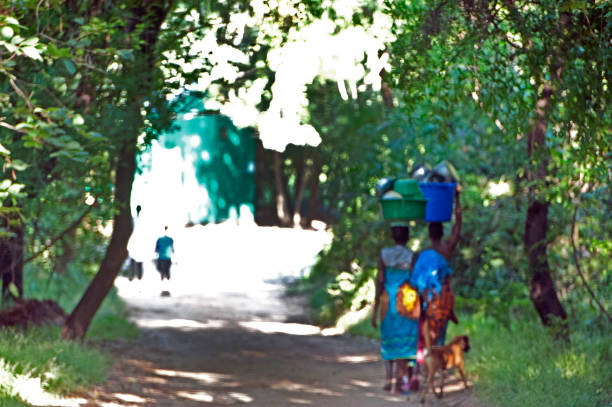 Cape Maclear village track, Malawi, Africa.  Malawi, the landlocked country in southeastern Africa, is a country of highlands split by the Great Rift Valley and the huge Lake Malawi, whose southern end is within Lake Malawi National Park and several other parks are now habitat for diverse wildlife from colorful fish to the Big Five. Cape Maclear is known for its beach resorts, whilst several islands offer rest and recreation.