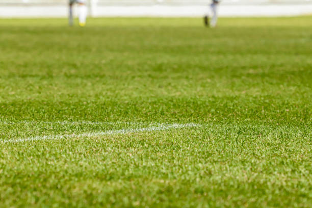 istock Grass of a football field 1489507521