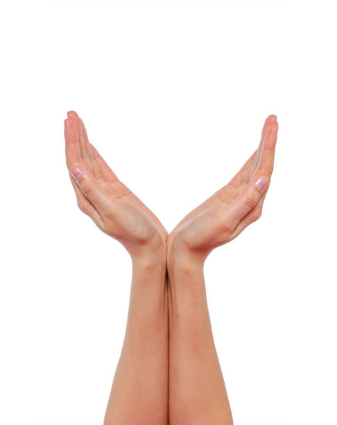 istock Female hands are holding something invisible while isolated on white. 1489509634