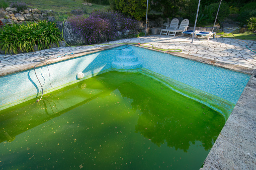 Old mosaic pool with a leak. Abandoned swimming pool, green water full of algae.