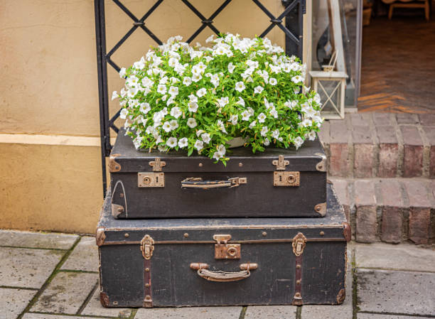 Flower bed in the form of a suitcase on the city street.