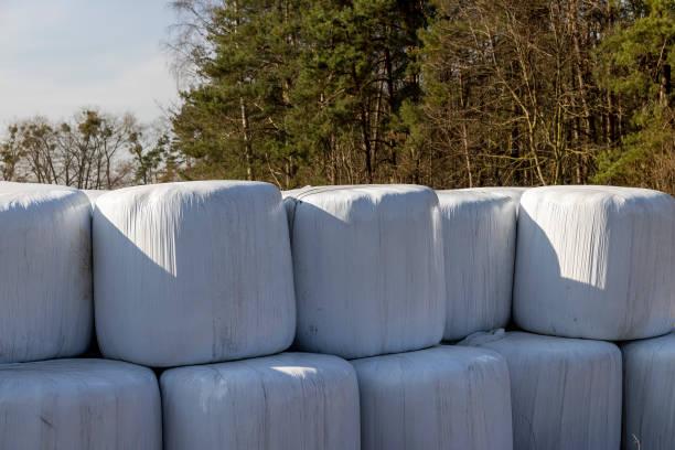 plastic packaging on mown hay for long-term storage plastic packaging on mown hay for long-term storage, grass silage packed in plastic packaging for animal feeding silo bag stock pictures, royalty-free photos & images