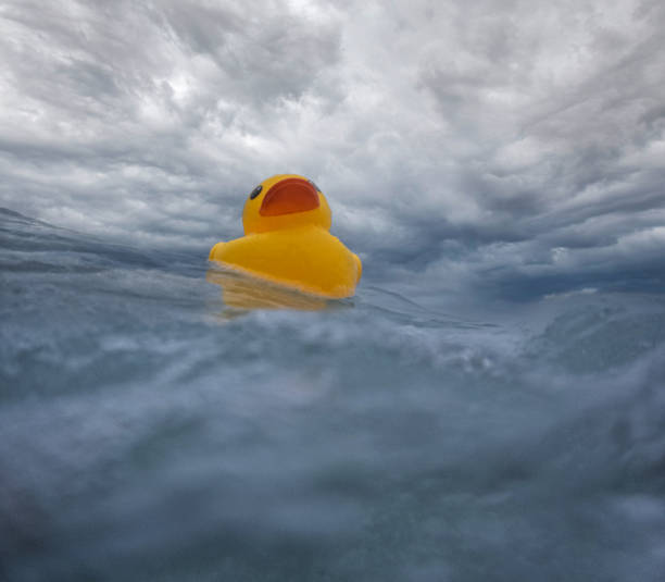 istock Yellow Rubber Ducky Floating in a Rough Sea 1489516873
