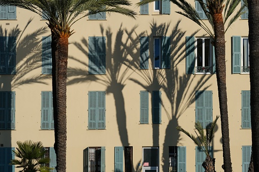 The shadow of a palm tree on the facade of a building with traditional shutters in the morning light in Nice, France, on the French Riviera