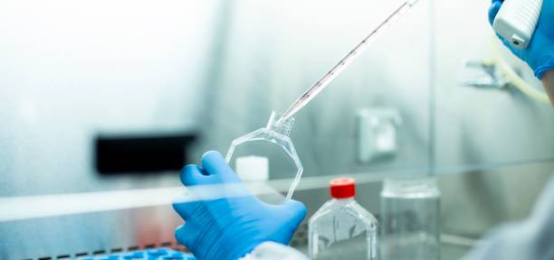 istock Chemist wearing protective gloves conducting a scientific experiment in a laboratory 1489527851