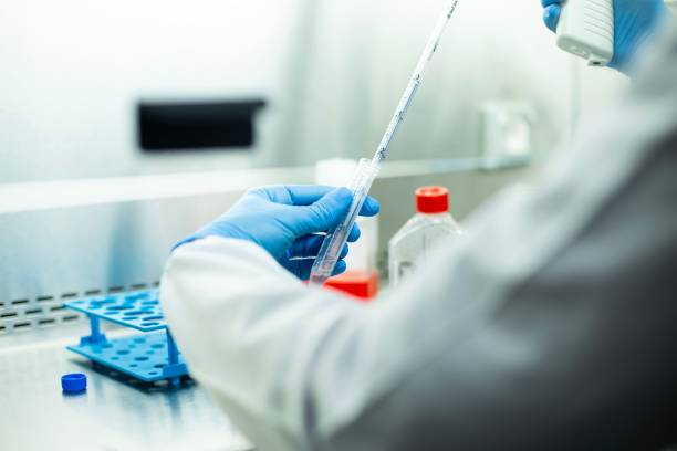 istock Chemist wearing protective gloves conducting a scientific experiment in a laboratory 1489527873