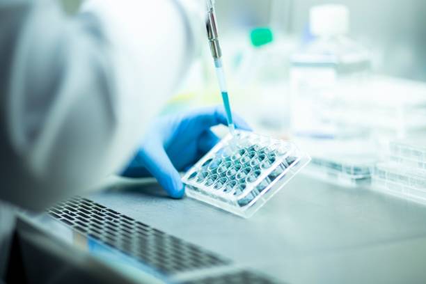istock Chemist wearing protective gloves conducting a scientific experiment in a laboratory 1489527912