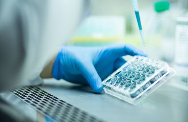 istock Chemist wearing protective gloves conducting a scientific experiment in a laboratory 1489527916