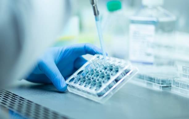 istock Chemist wearing protective gloves conducting a scientific experiment in a laboratory 1489527920
