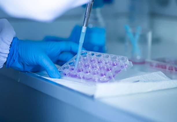 istock Chemist wearing protective gloves conducting a scientific experiment in a laboratory 1489528031
