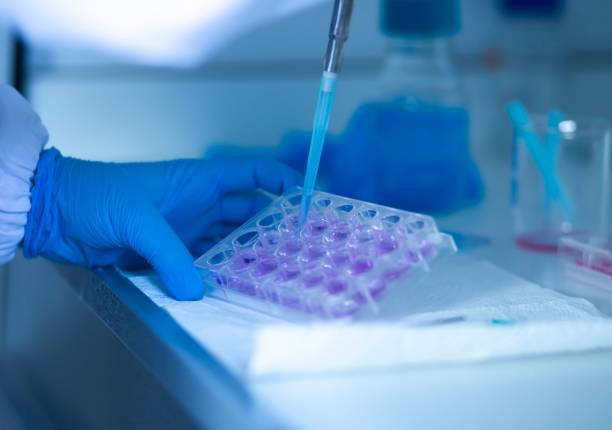 istock Chemist wearing protective gloves conducting a scientific experiment in a laboratory 1489528034