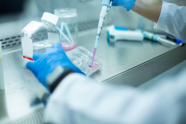 istock Chemist wearing protective gloves conducting a scientific experiment in a laboratory 1489528095