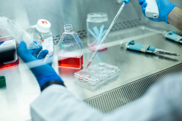 istock Chemist wearing protective gloves conducting a scientific experiment in a laboratory 1489528126