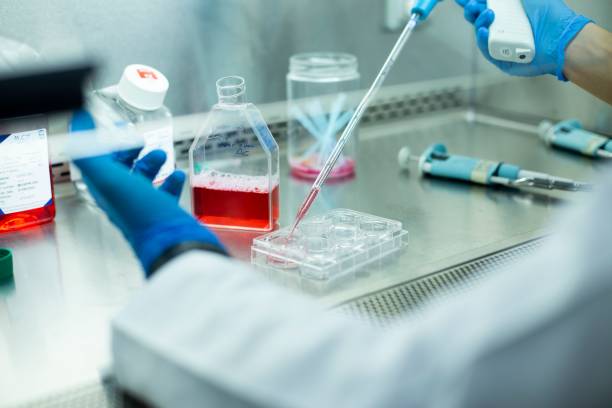 istock Chemist wearing protective gloves conducting a scientific experiment in a laboratory 1489528127