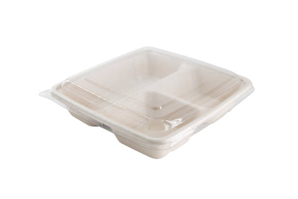 istock bagasse container package for food isolated on white background 1489529539