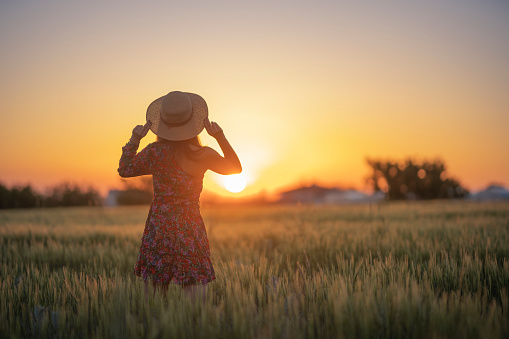 young woman posing in a crop field at sunset