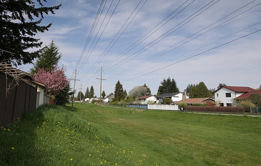A long green belt and an extensive electrical grid are in the Fleetwood-Tynehead neighbourhoof of Surrey, British Columbia. Detached houses built in the 1980s line the Green Timbers Greenway. Spring morning with light clouds over Metro Vancouver.