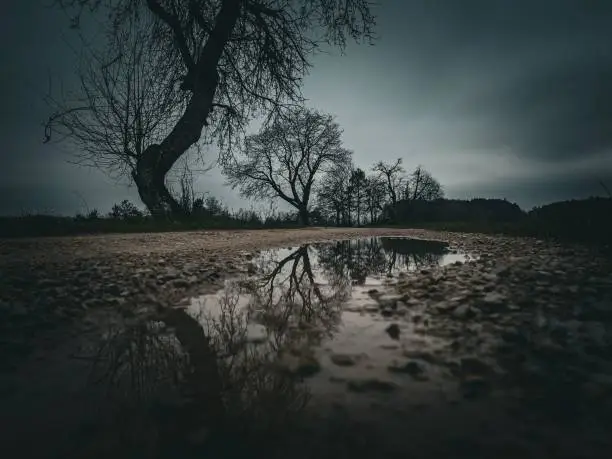 Photo of View of a dirt path, covered in puddles of water, with leafless trees silhouetted against grey sky