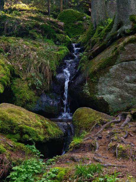 istock Peaceful and picturesque waterfall cascading down among towering rock formations in a lush forest 1489535469