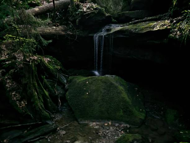 istock Small waterfall cascades over lush, green rocks in a picturesque forest setting 1489535470