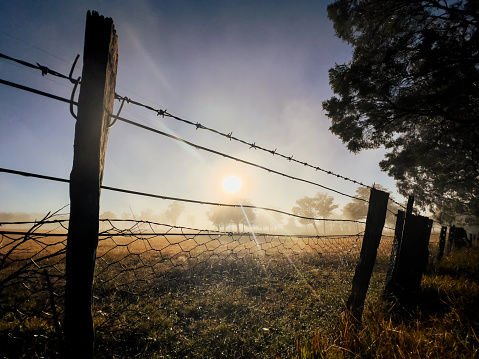 Horizontal closeup photo of the early morning sun shining across a grassy paddock through an old wooden post and barbed wire fence near Armidale, New England high country, NSW.