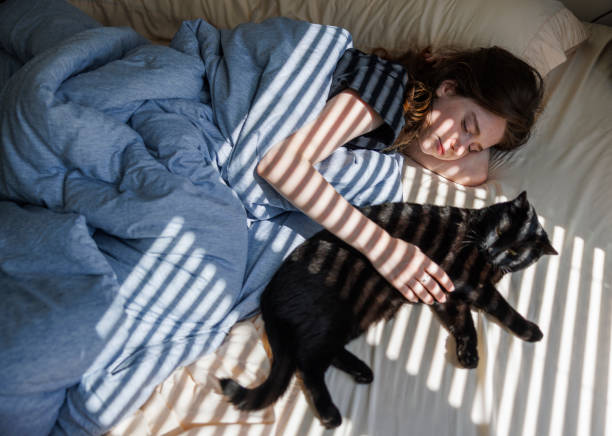 Striped shadows and lights in bedroom, bedtime relax: sleepy young woman hugging black cat in bed in sunbeams. Stripes of sunlight and shadow from the window cover bed and cat with owner. Top view stock photo