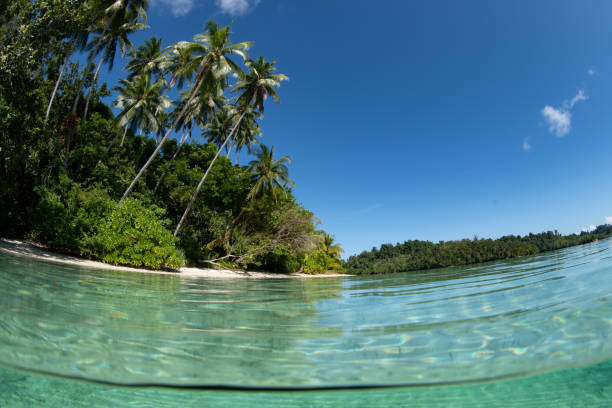 istock Clear Warm Water and Scenic Tropical Beach 1489541281