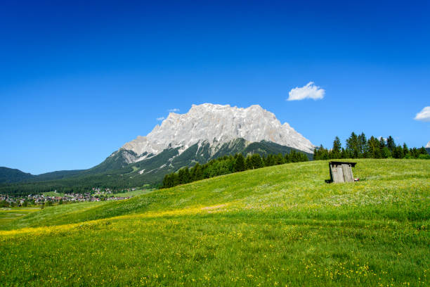 prato estivo in fiore davanti al massiccio dello zugspitze - wetterstein mountains summer hut european alps foto e immagini stock