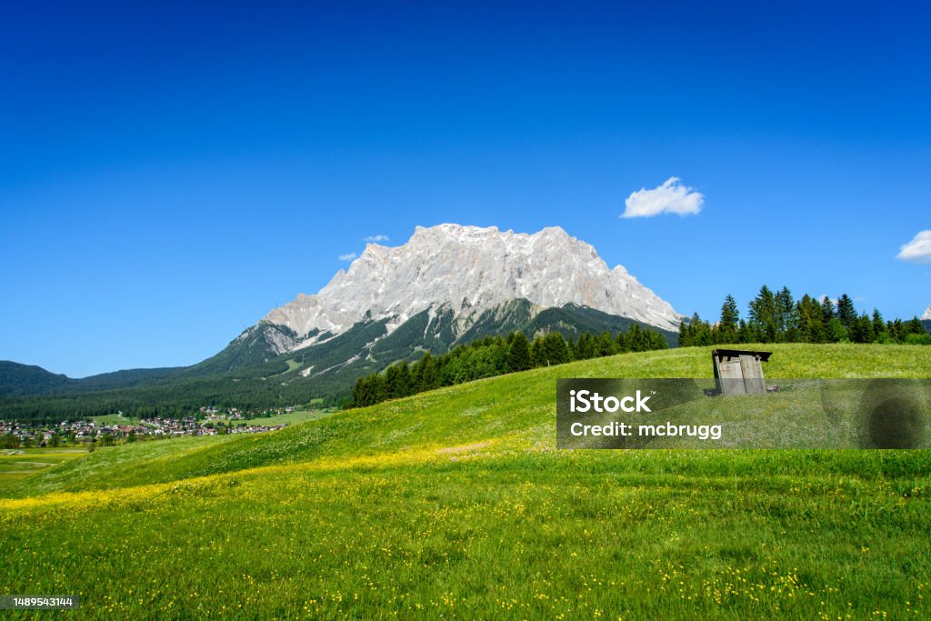 blooming summer meadow in front of the Zugspitze massif Ehrwald und die Zugspitze Austria Stock Photo