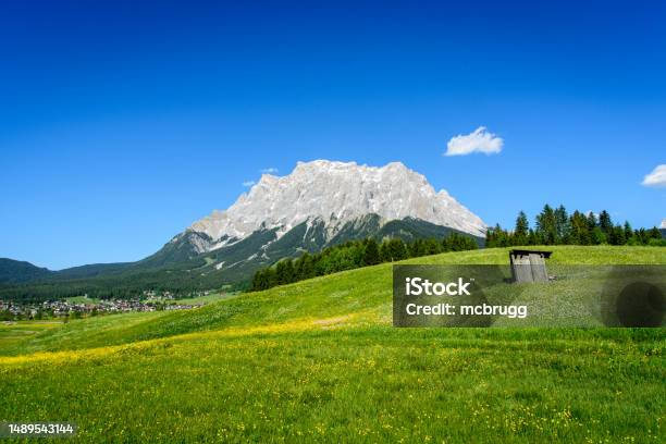 Blooming Summer Meadow In Front Of The Zugspitze Massif Stock Photo - Download Image Now