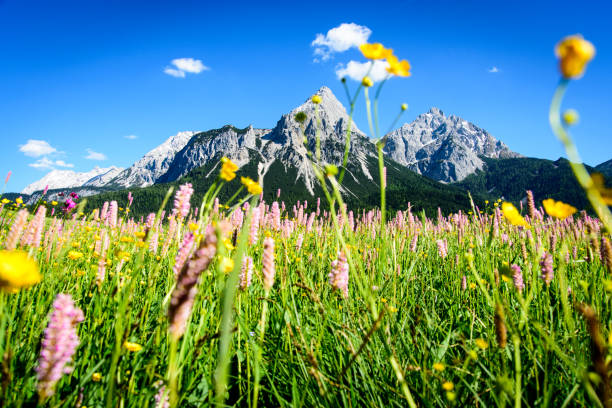 Gebirgsmassiv in Tirol, Österreich