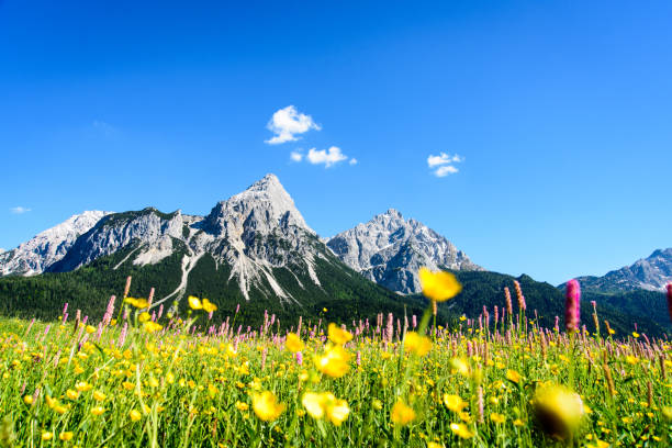 Ehrwalder Sonnenspitze