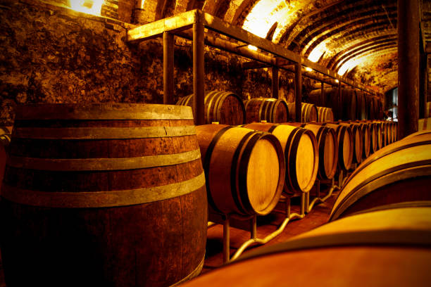 istock Rustic wine storage room with wooden barrels. 1489554392