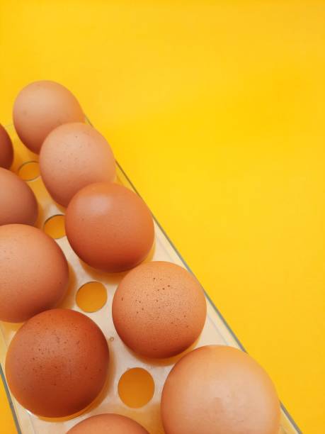 eggs on a yellow background