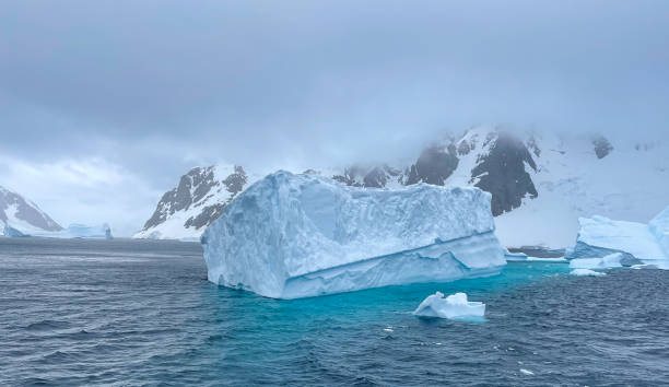 istock Icebergs in Antarctica 1489556731