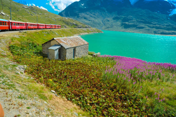 Little red train traveling in the Swiss mountains and connecting Switzerland with Italy Sankt Moritz Switzerland May 13 2023: Little red train traveling in the Swiss mountains and connecting Switzerland with Italy engadine stock pictures, royalty-free photos & images