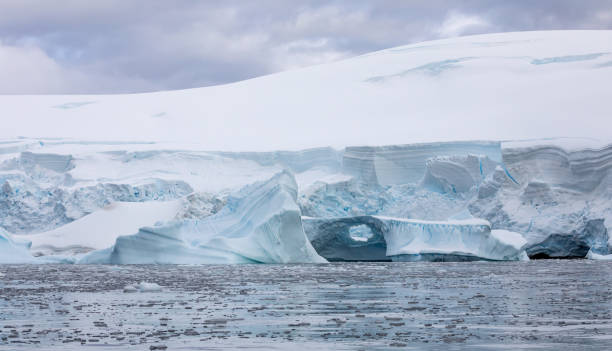 istock Icebergs in Antarctica 1489557056