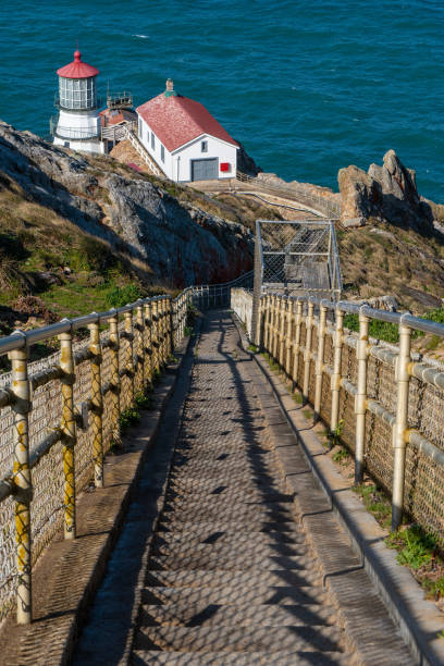 istock Point Reyes Lighthouse along Point Reyes National Shore, California 1489557541