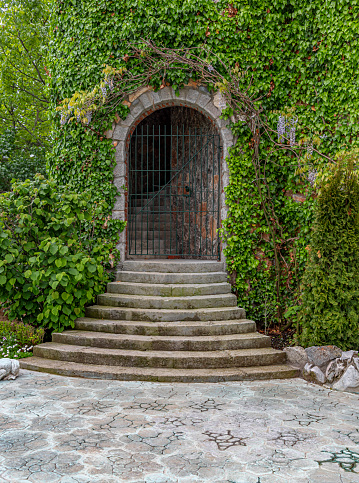 Stone steps and entrance to an arched building overgrown with ivy.