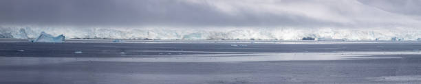 istock Icebergs in Antarctica 1489559250