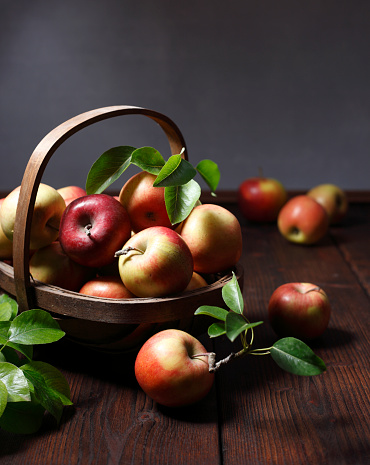 Freshly harvested apples with leaves